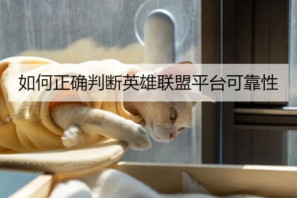 如何正确判断英雄联盟平台可靠性